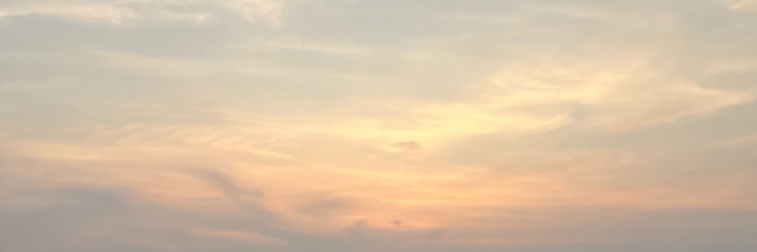 nans_nanda's profile banner image