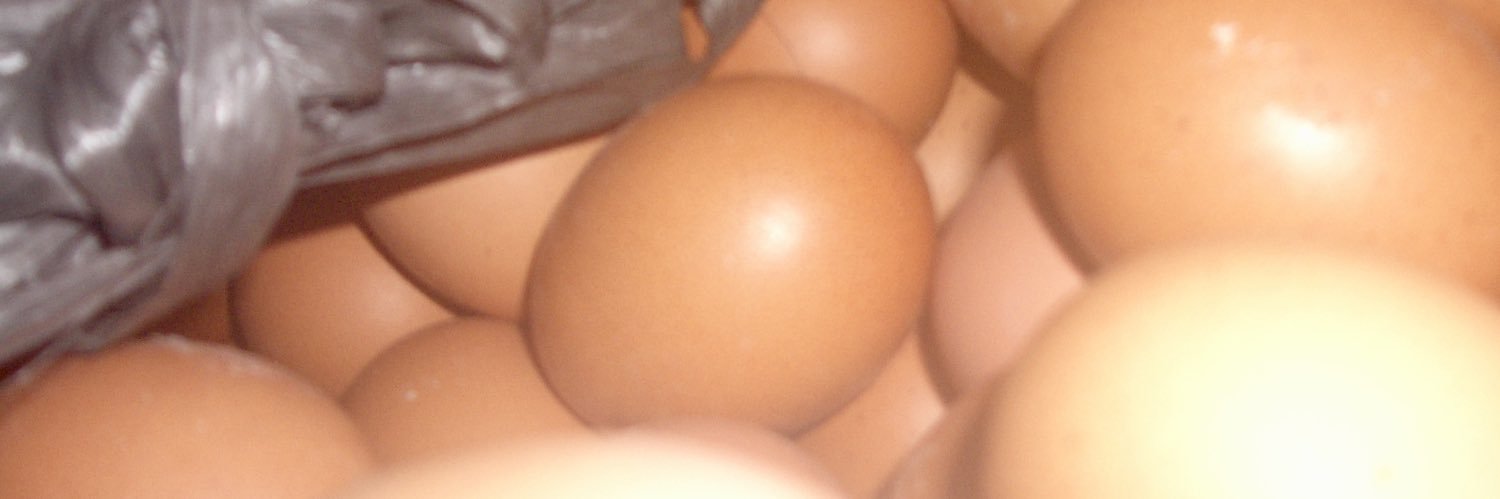 hal0o00's profile banner image
