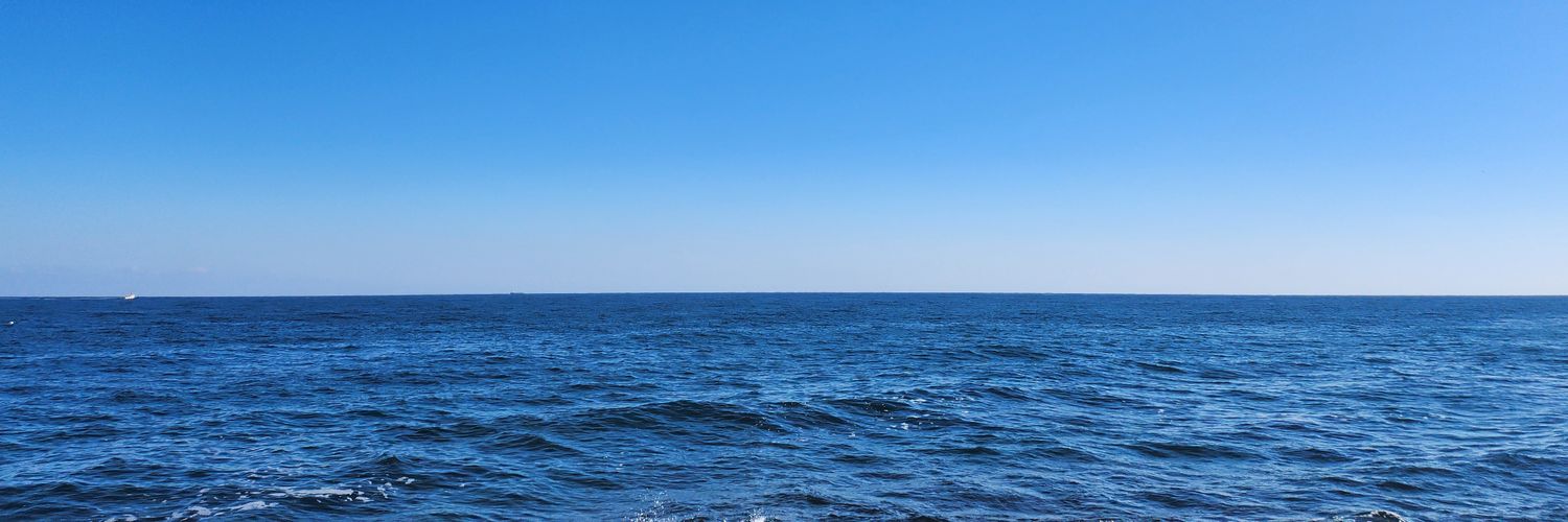 코우유🧸🌂 banner