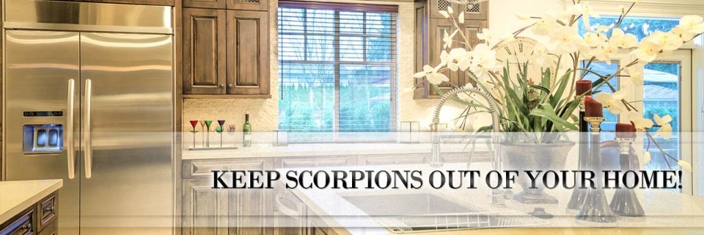 Seal Out Scorpions banner