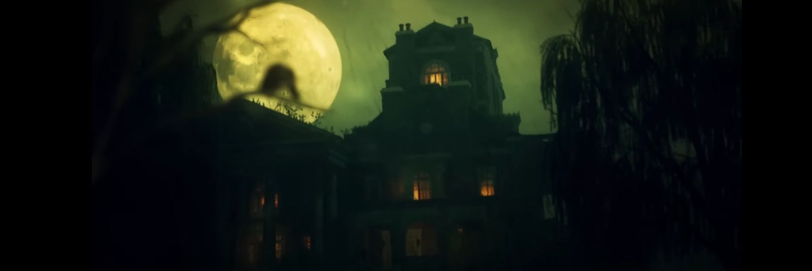 skull girlVA🎙️ banner