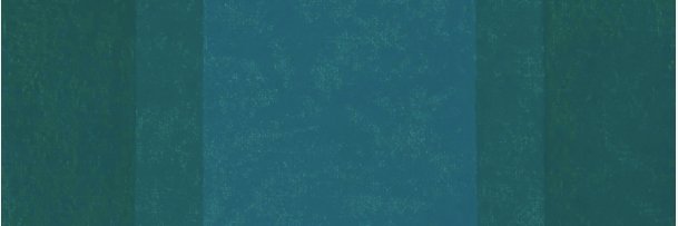 maliha's profile banner image