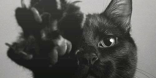 MSKindie's profile banner image