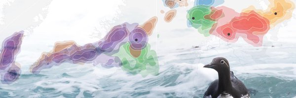 SeatrackScience Profile Banner