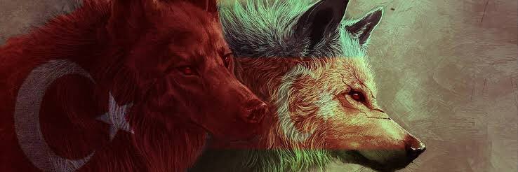 selimbalik's profile banner image