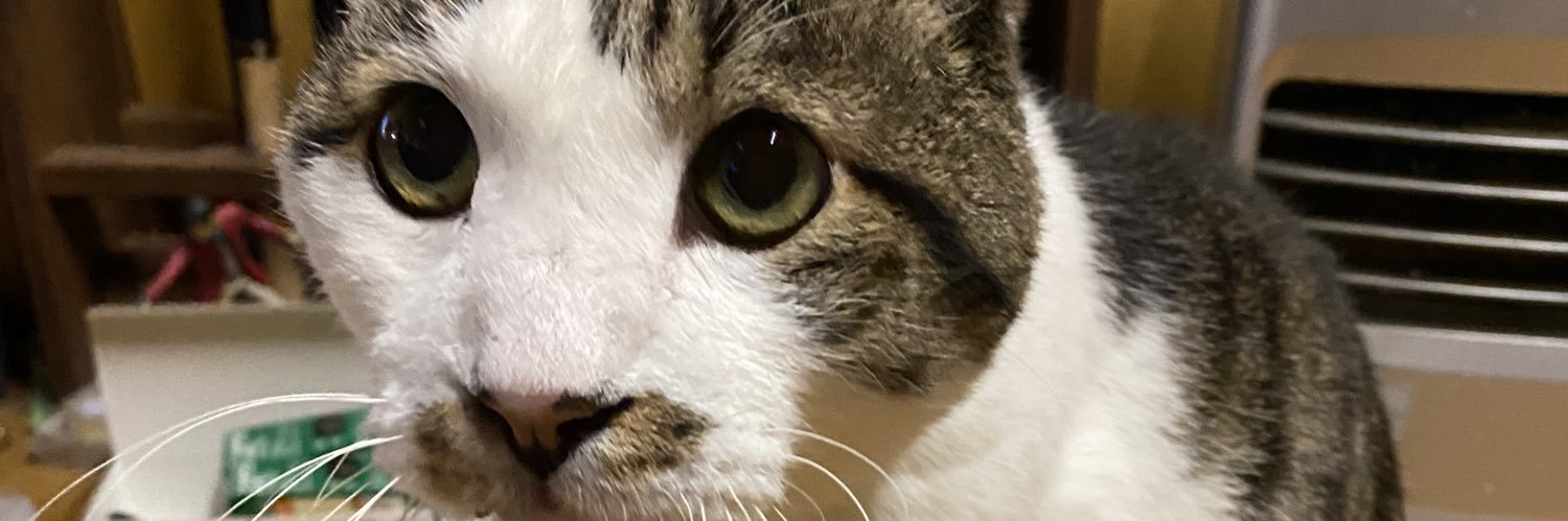 nyabanilla's profile banner image