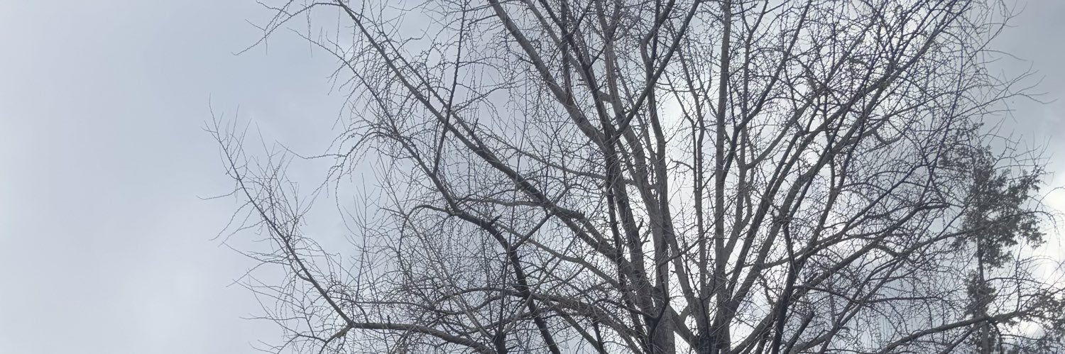 say banner