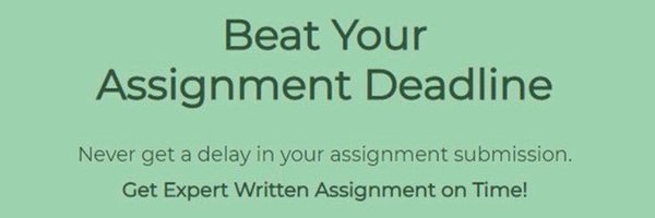 homeworkhelp222 Profile Banner