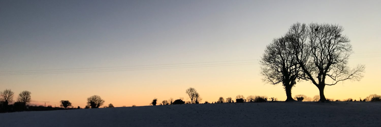 scampish's profile banner image