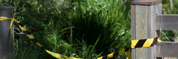 cyspio Profile Banner