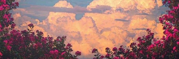 Freelancer27412 Profile Banner