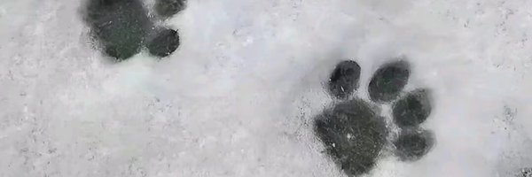 nove3o3m Profile Banner