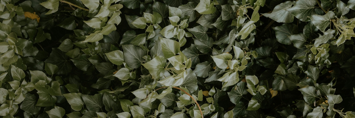 wkt_kow's profile banner image