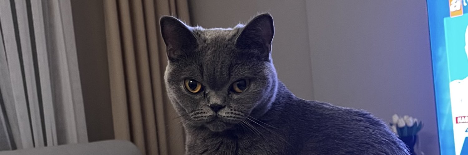denizsanchess's profile banner image