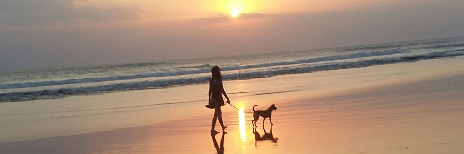 Ariela banner