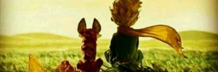 cukulataa's profile banner image