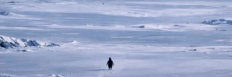 Karl Martell ✝️ 🇨🇭 banner