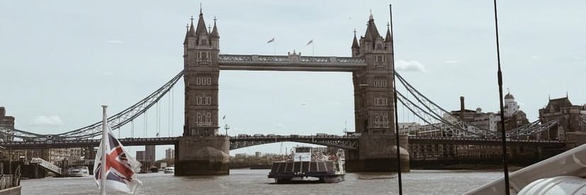 elene de cey banner