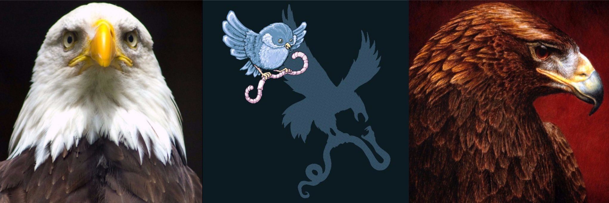 AngelaArcese's profile banner image