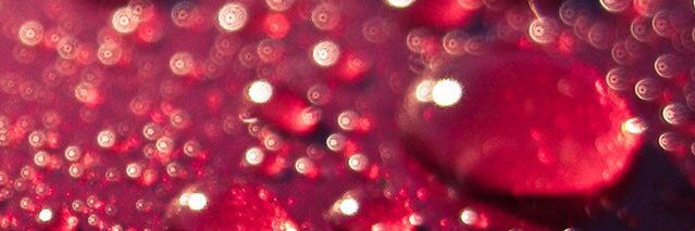 ACruzRodriguez's profile banner image