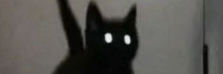 L banner
