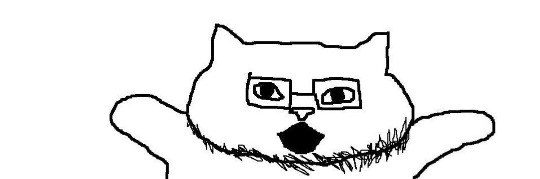 wocat banner