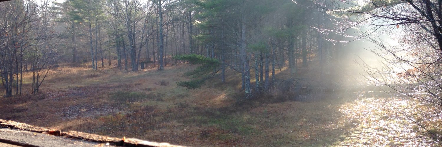 ToddPowers's profile banner image