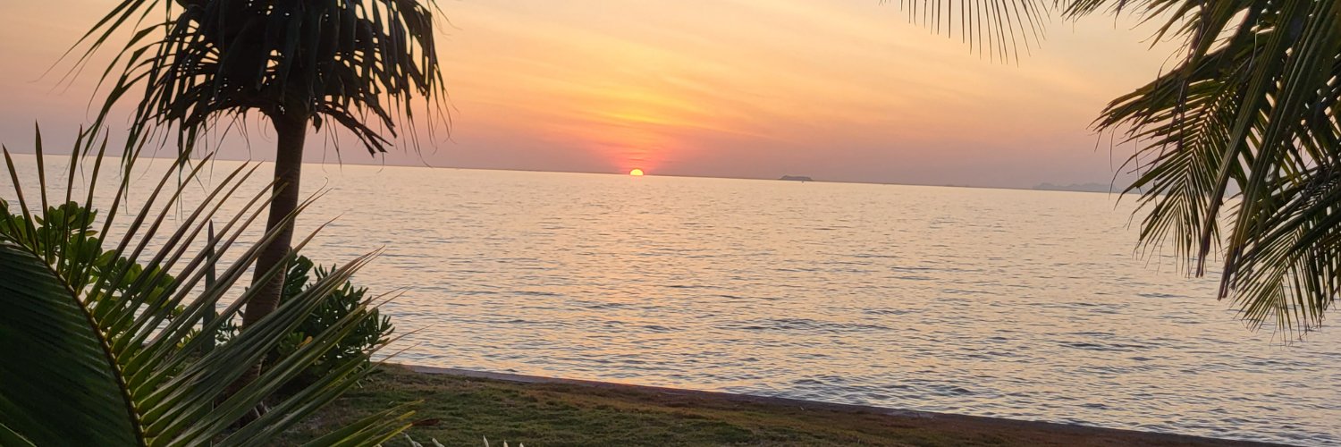 acardall's profile banner image