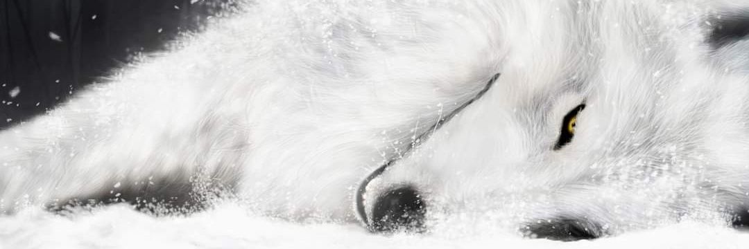 theoldhunter_00's profile banner image
