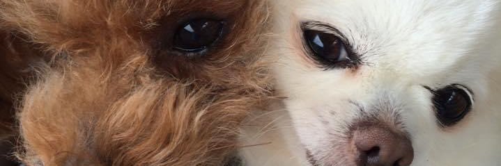 mabo1009's profile banner image