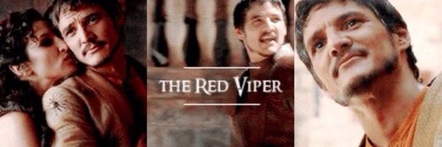 𝐓𝐡𝐞 𝐑𝐞𝐝 𝐕𝐢𝐩𝐞𝐫 banner