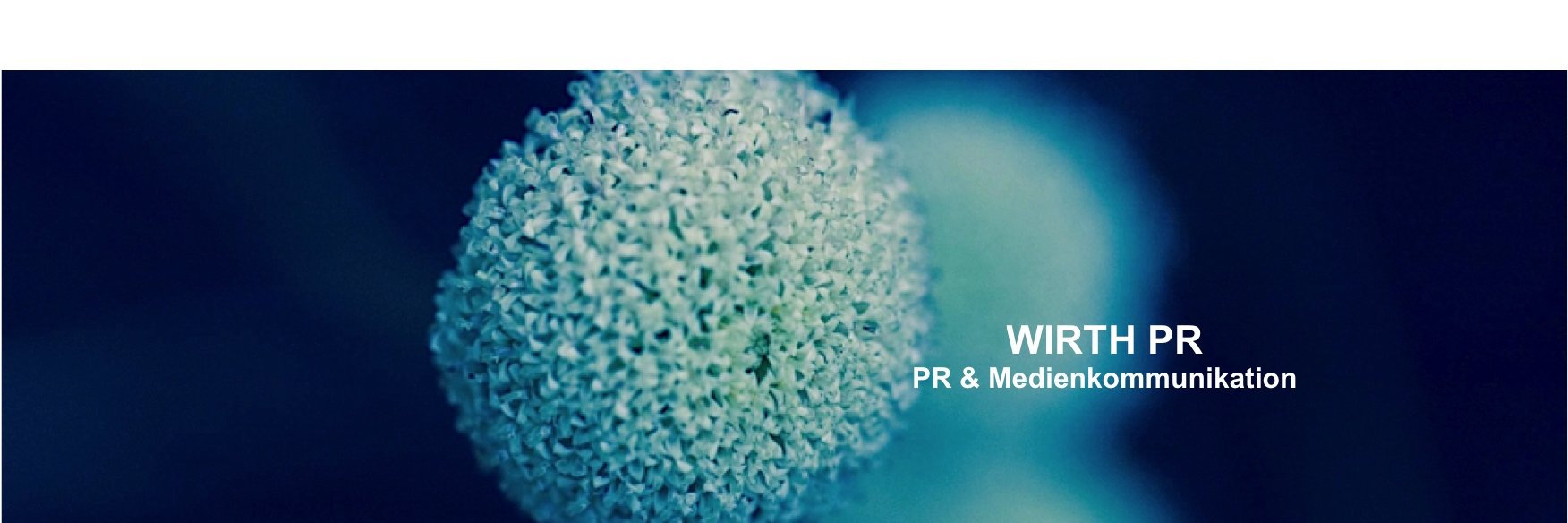wirthpr's profile banner image