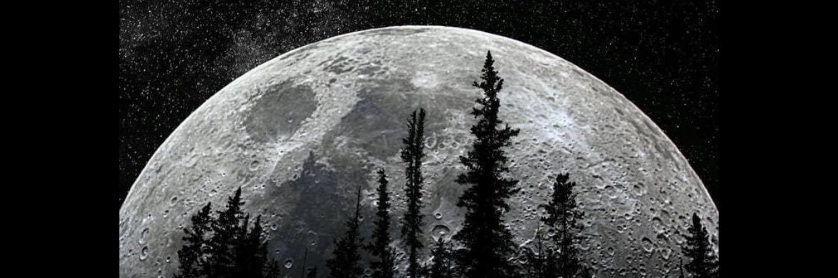 weeld199's profile banner image