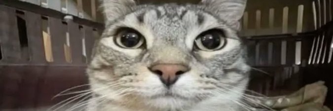 qwarrtz's profile banner image
