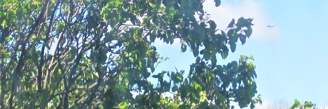 ChrisLFriends's profile banner image