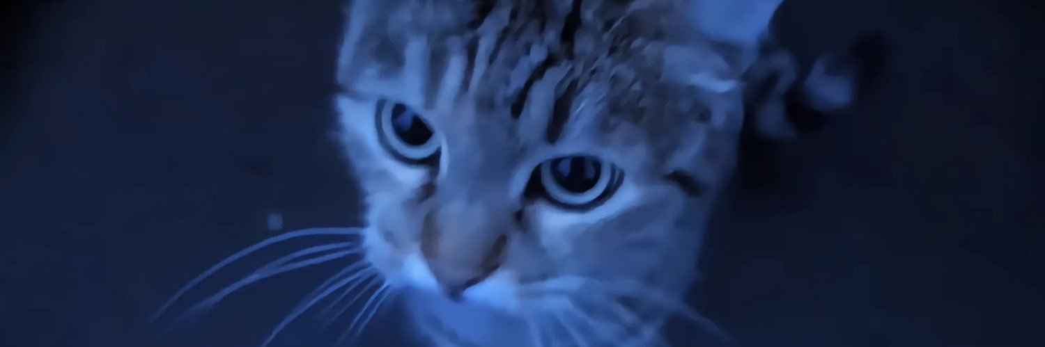 无能的妻子 banner