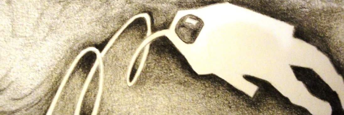 PgCupellini's profile banner image