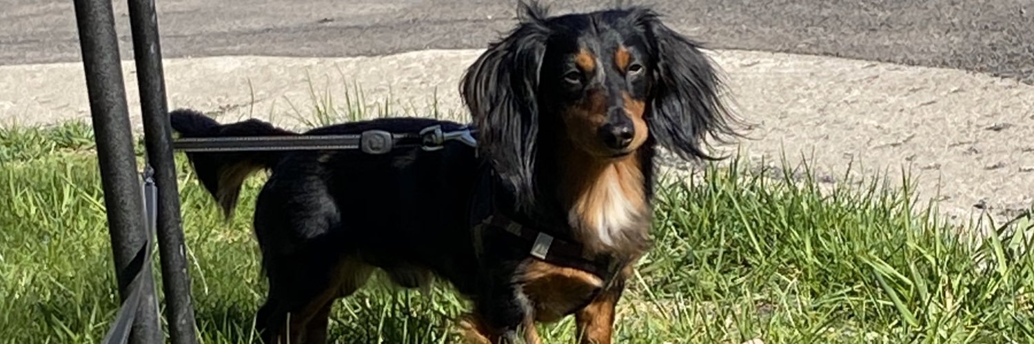 gina262 banner