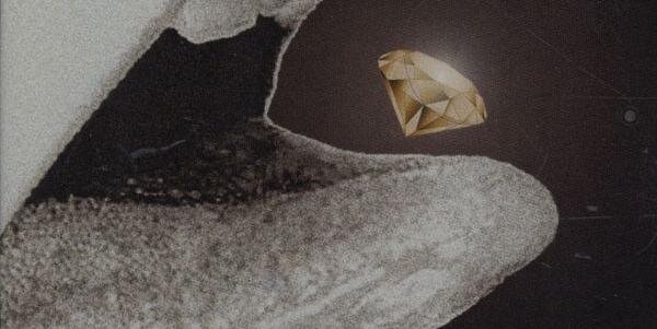 alexiohellgren's profile banner image