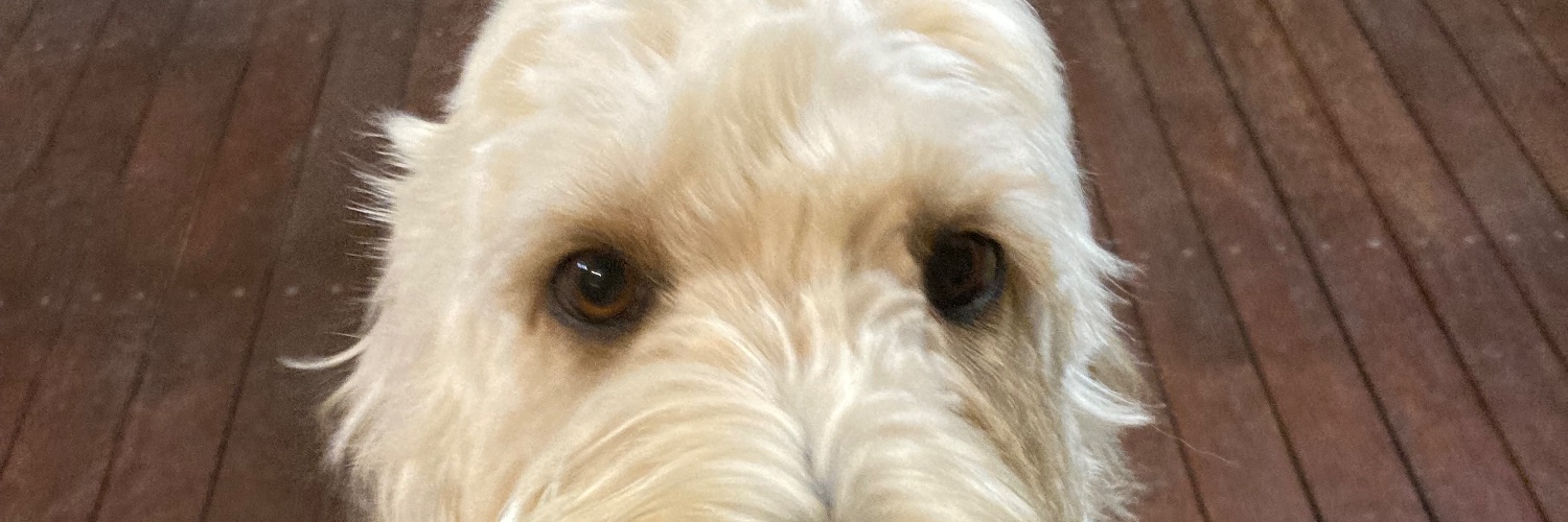 standagainstislam banner