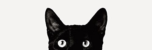 ttsp_pp's profile banner image