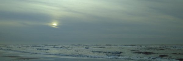 aaaannet Profile Banner