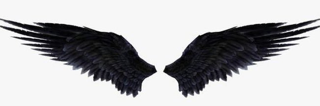 ro banner