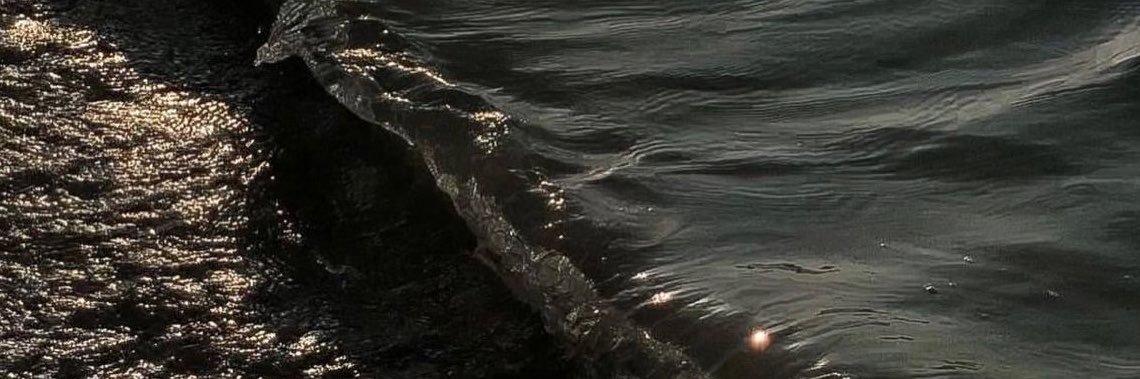 oceanhopei's profile banner image