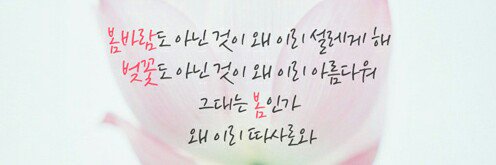 너는 나의 봄이다🌸 banner