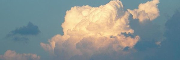 amayor Profile Banner