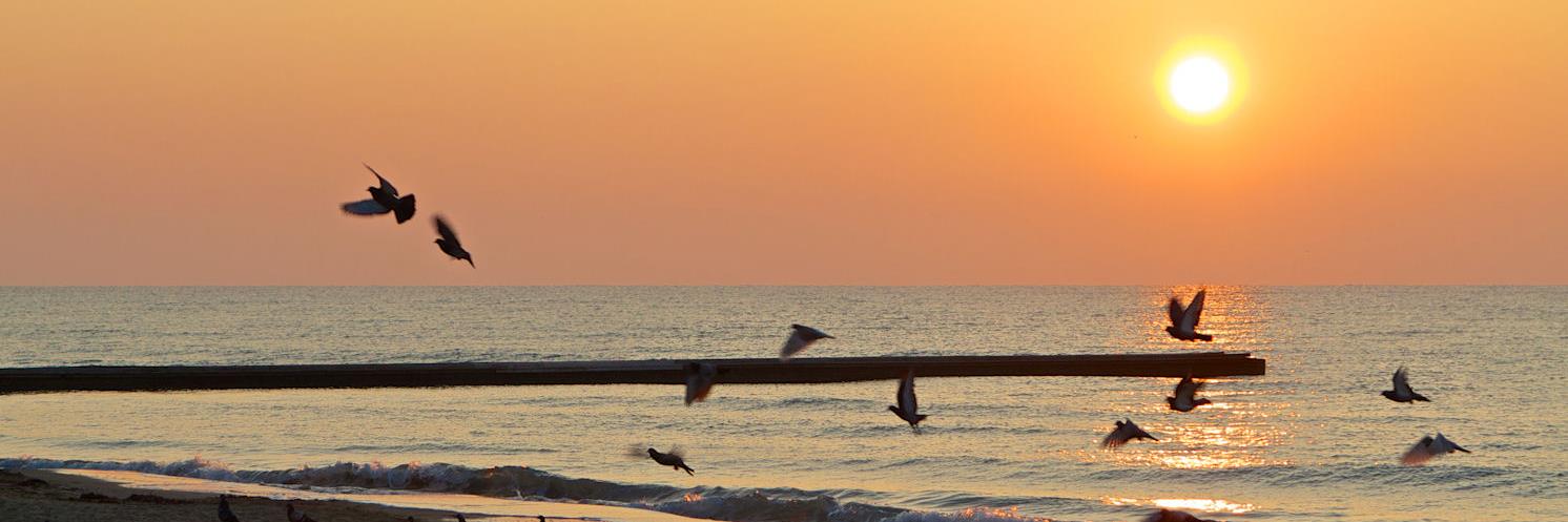 Città di Jesolo banner