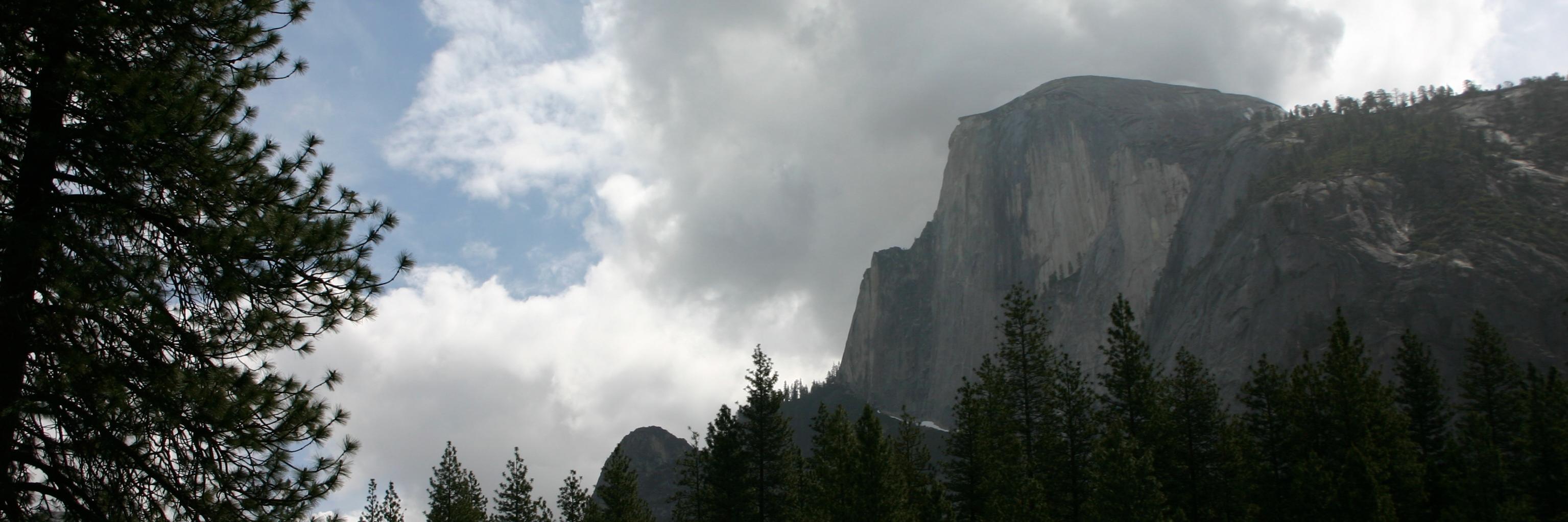 Joshua Turton banner