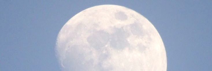 Nafi Easterlin 🌕 banner