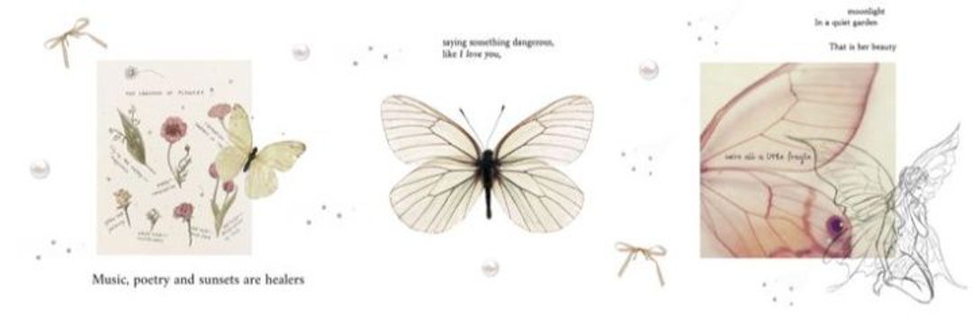 ‌‎ ‎ᥫ✦. 𝙂 banner